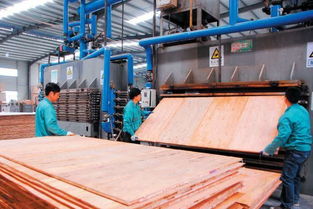 怀化工业园区鸿华 电子科技公司工人在进行生态板材的 热压工序图