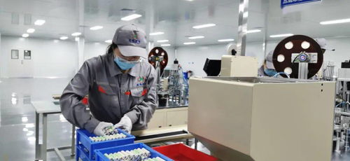 每天15万 金鲤鱼 出 金 入 海 金拓锂电新能源公司锂电子正极材料及电池生产项目有序推进