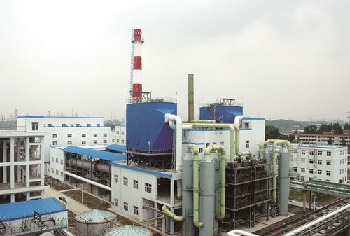 江苏又杀出 90后女董事长 29岁当上a股掌门人,年营收18.34亿