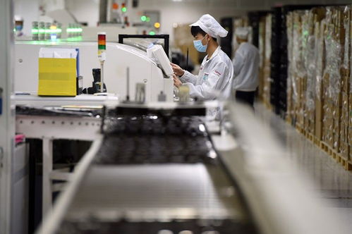 自贸试验区助力中国高水平对外开放