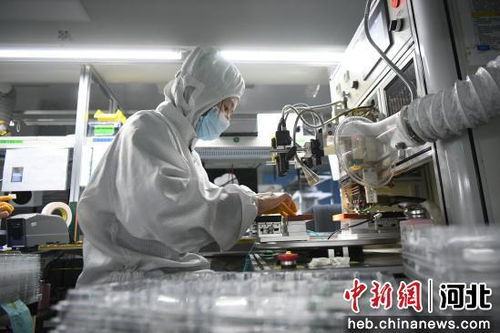 河北廊坊 优化营商生态圈促进电子信息产业高地加速崛起