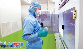 聚集显合力 趁势再扬帆 赣州特色产业迸发新活力 图