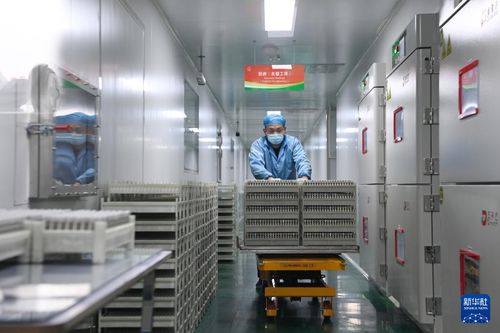 甘肃金昌 新能源和新能源电池产业集群快速发展