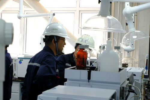 绿菱电子项目在南港试生产 将解决关键半导体材料 卡脖子 技术难题