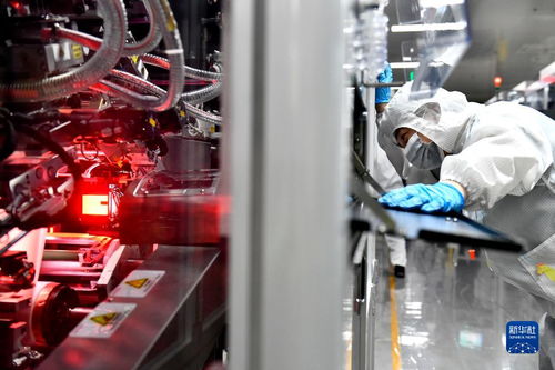 山东枣庄 聚力发展锂电产业集群，推动电子材料销售新突破