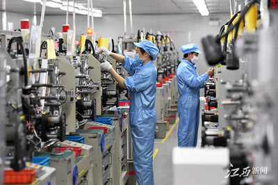 硬核丨“20条”政策35问35答 江西复工复产抢时间保进度，电子材料销售全面解析